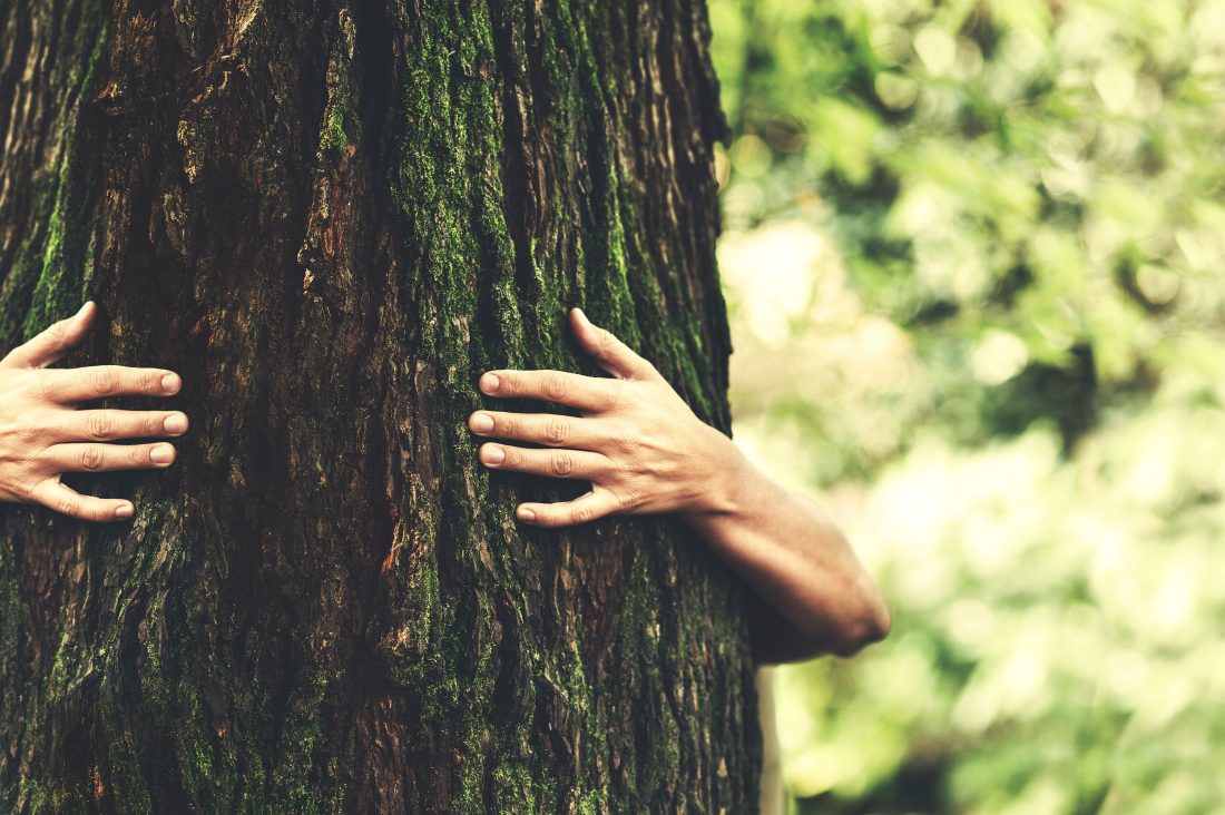 Bras enserrant un arbre
